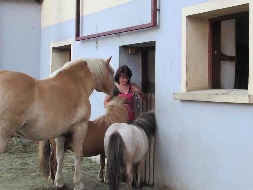 דירות שלניצן Kollerhof מראה חיצוני תמונה